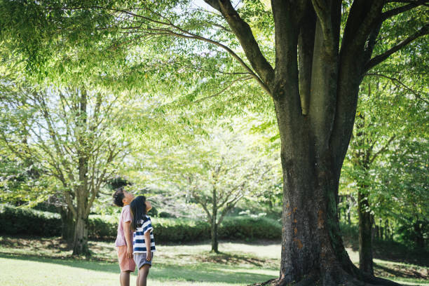 istock Japanese siblings playing in the park 2189342457
