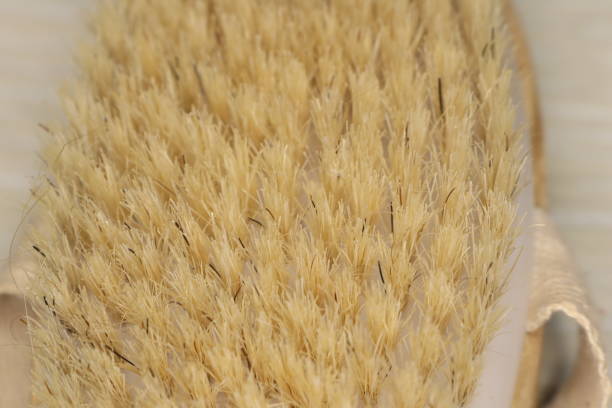 Unrecognizable caucasian female is showing dry brush with to camera.