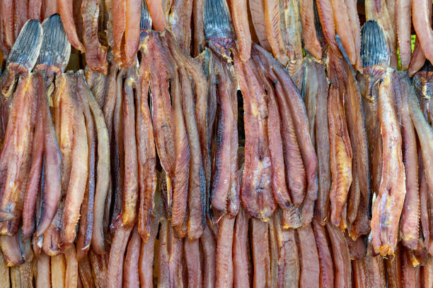 Dried fish in the market, Siem Reap, Cambodia