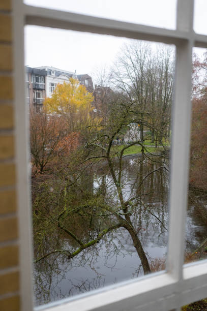 Serene view of a park with a pond and autumn foliage seen through a window