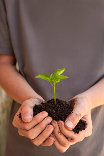 istock Child's Hands Holding a Young Plant in Fresh Soil 2189361236
