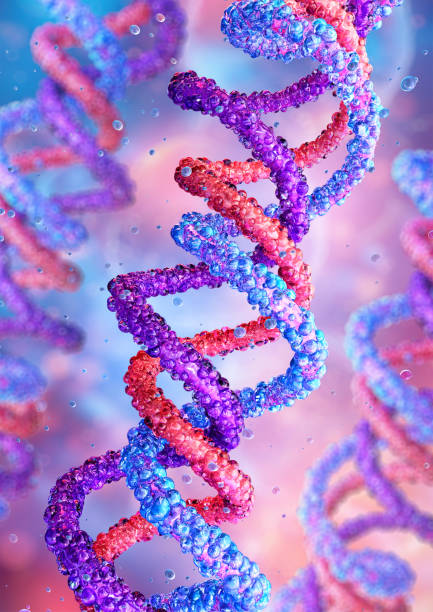 istock Triple helical structure of collagen molecule, key skin protein. Amino acids triple helix. 2189362083