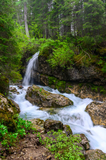 Waterfalls in the Avisio river from meltwater of the Marmolada in Val di Fassa in the Dolomites, South Tyrol or Alto Adige, Italy during springtime.