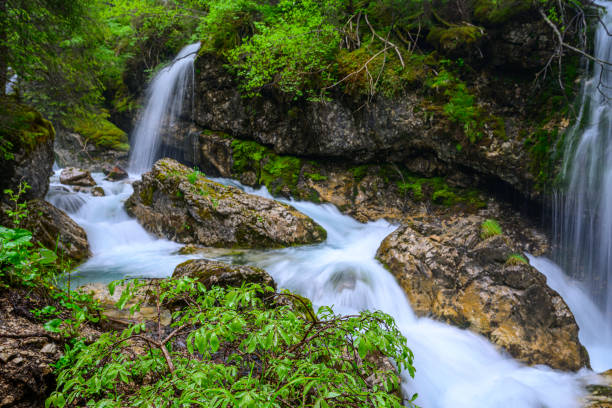 Waterfalls in the Avisio river from meltwater of the Marmolada in Val di Fassa in the Dolomites, South Tyrol or Alto Adige, Italy during springtime.