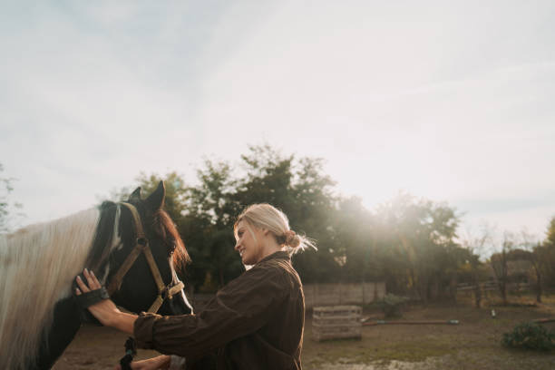 istock Grooming my horse 2189363167
