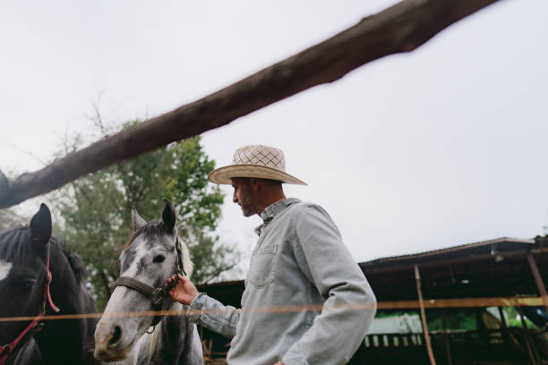 istock Man at the horse ranch 2189363180