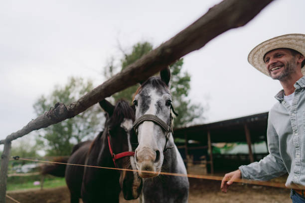 Photo of a mid adult men taking care of his animals at the horse ranch