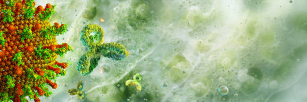 istock Antibodies, immunoglobulin Ig protein cells 3D medical background 2189363334