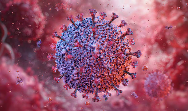 istock Epstein-Barr DNA herpes virus infecting a B lymphocyte 2189363357