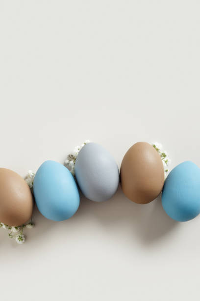 istock Elegant Easter Composition with Pastel Eggs and Spring Blossoms, still life Dyed eggs in soft pastel colors, top view spring holiday minimal creative pattern, neutral earth colored image, above 2189370287