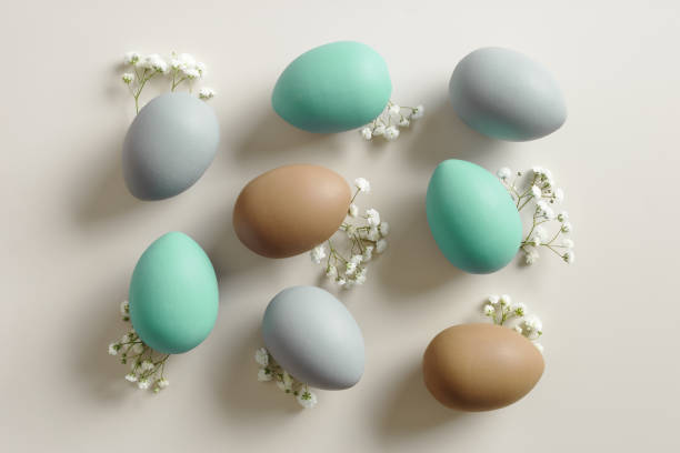 istock Pastel Easter Eggs as minimal pattern with white blooming Flowers on beige color, top view colorful chicken egg. Easter celebration concept. Festive food, still life holiday, aesthetic flat lay 2189370289