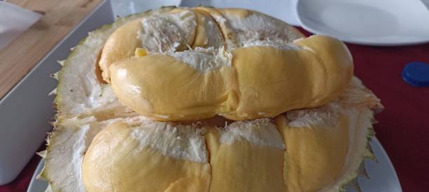 istock durian bawor on the plate 2189373743