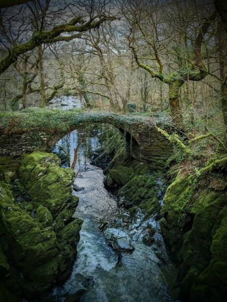 istock Roman Bridge Wales 2189378688