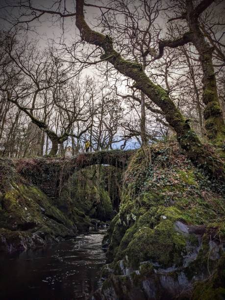 istock Roman Bridge Wales 2189378723