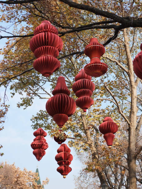 trees in the park are decorated with Chinese red lanterns