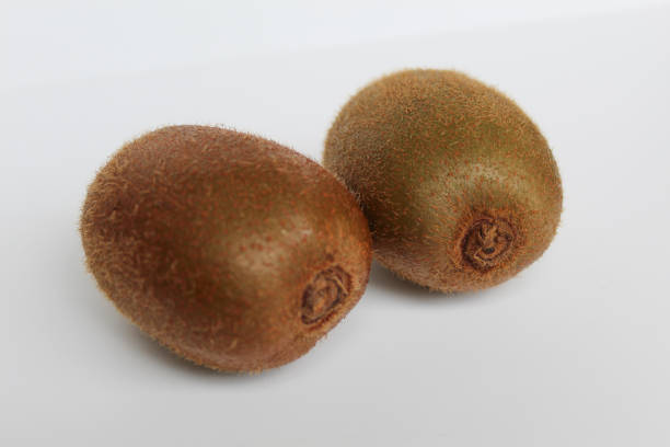 Two uncut kiwi fruits isolated on white background