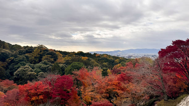 istock The beautiful views in Kyoto 2189386950