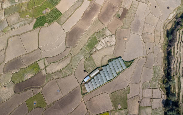 istock Rice Field of South Asia, Nepal. 2189387061