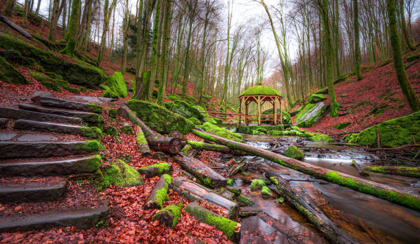 istock Stone steps lead to a charming gazebo nestled in a mossy forest 2189394506