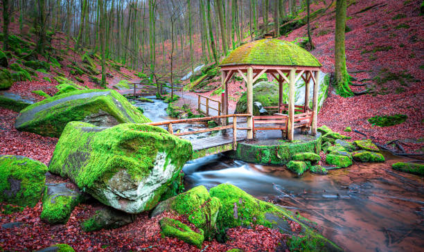 istock Peaceful forest scene near a stream with a moss-covered gazebo 2189395769