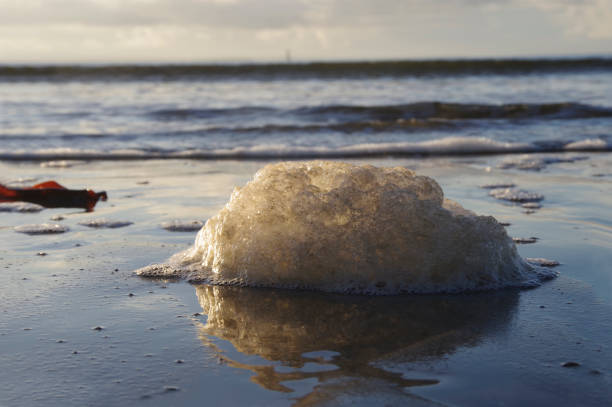 Chunks of thick sea foam on waters edge. Wild Atlantic Way