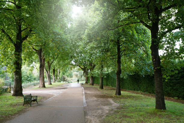 istock Bute Park in historic Cardiff, Wales 2189405272