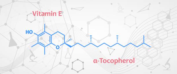 alpha-Tocopherol, Vitamin E chemical formula and skeletal structure. A type of vitamin E preferentially absorbed and accumulated in humans. Food additive E307, dietary supplement. Chemical formula of Vitamin E. Infographics illustration. alpha tocopherol stock illustrations