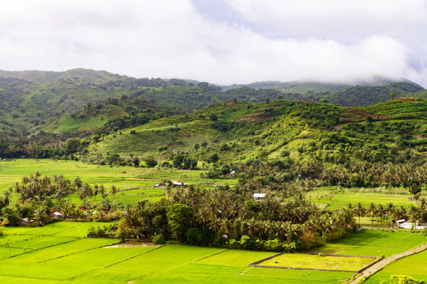 This is a photograph of a lush green mountain landscape with rice paddies seen from a high angle view on the tropical southeast Asian island of Lombok.