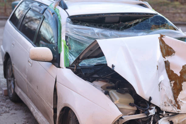 istock An old, rusting white car long forgotten and overrun by nature's growth 2189409639