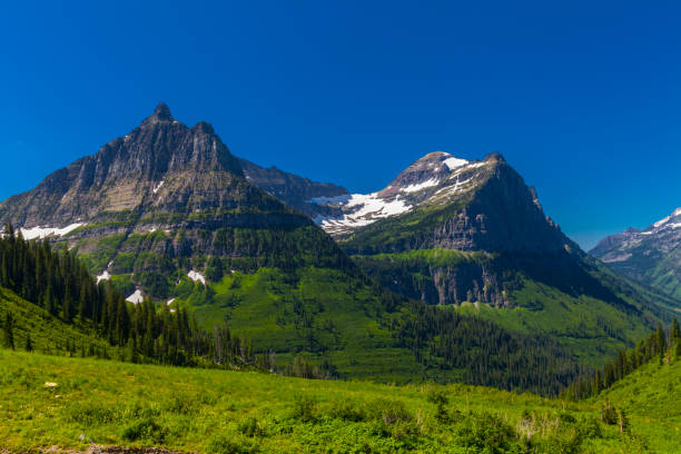 istock Mountain in Glacier National Park 2189409722