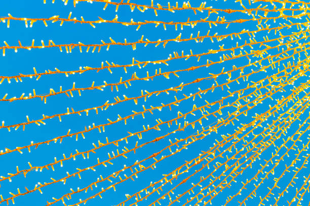 electric garlands against the sky, close-up. glowing street garlands. New Year's electric garlands. garlands stretched out on the street