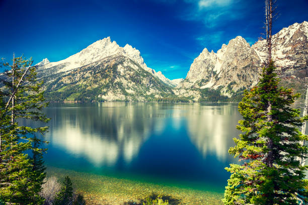 istock The Grand Tetons 2189413569