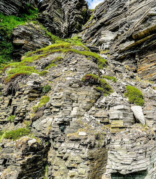 istock A rocky cliff with green moss growing on it 2189417044