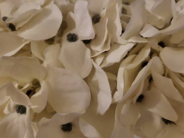 istock Fake flower 2189418305