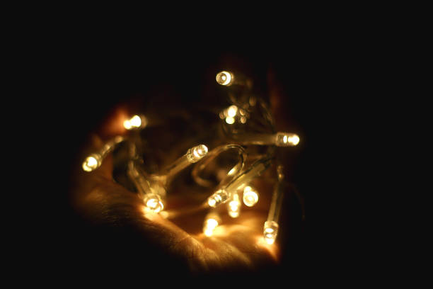 istock Holding Fairy Lights 2189419245