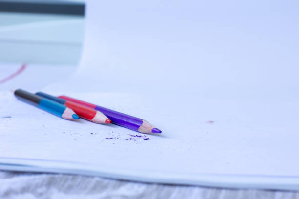 colored pencil on white paper, sawdust from a sharpener and pencils