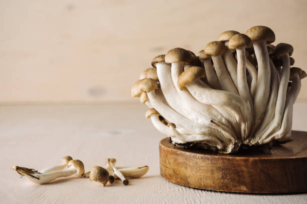 istock Shimeji mushrooms. 2189425856