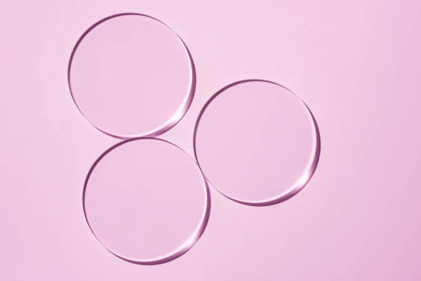 istock Empty Petri dishes on a pink background. Bright sunlight. Deep shadows. Contrast. Laboratory. cosmetic lab item, round transparent glass dish 2189426468