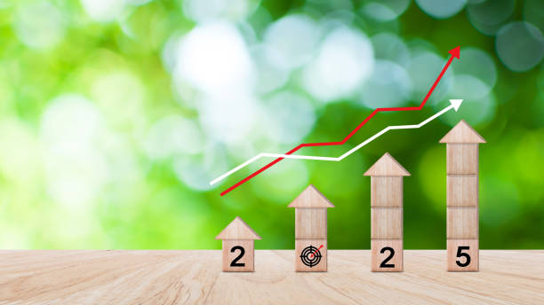istock 2025 goal plan action, Business plan and strategies, Annual plan and development for achieving golas, Goal achievement and challenge success in 2025 on wooden cube 2189426780