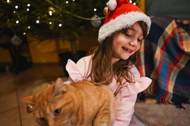 istock Christmas time at home. 2189428908