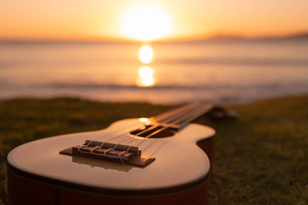 istock Guitar on the beach at sunset. 2189430274