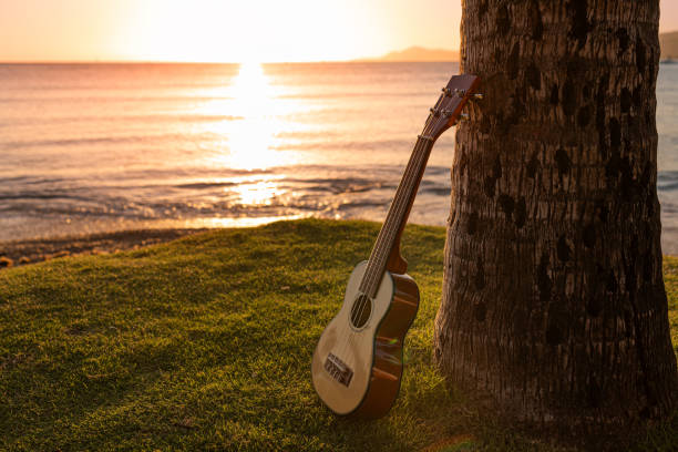 istock Ukulele in beach park at sunset. 2189430287