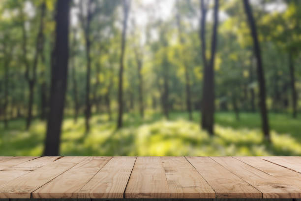 istock Empty rustic table in front of countryside background. product display and picnic concept 2189431823