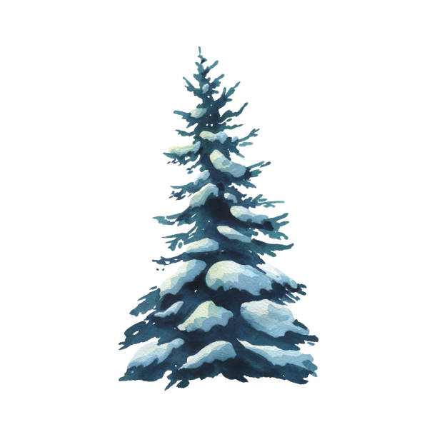 istock Tree evergreen fir with spreading branches on which lies white snow. Winter, forest watercolor illustration drawn by hand. Separate element isolated from background for Christmas, New Year and winter 2189434848