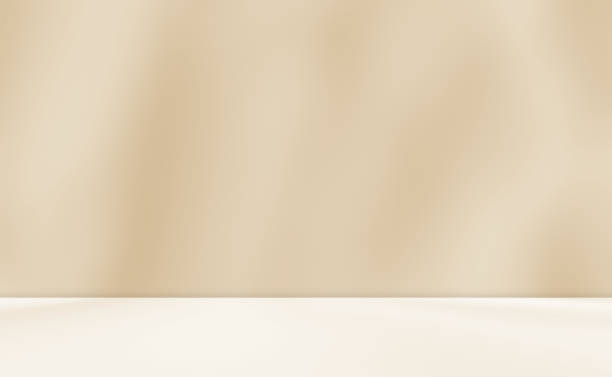 Empty cream beige brown room studio with shadow of leaves for product presentation.