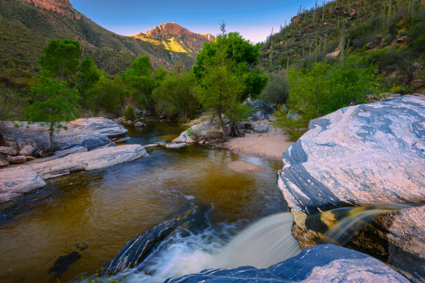 Serene Desert Stream Flowing Amid Rocks and Lush Greenery at Sunset