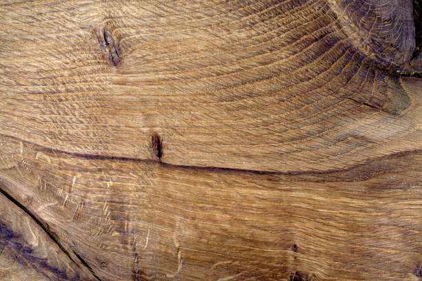 Natural pattern, Wood grain background texture, Dark Oak, Detail, Cracks