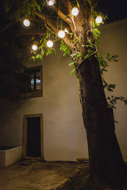 istock A tree illuminated with warm, glowing lights, casting a soft glow on a nearby building 2189448087