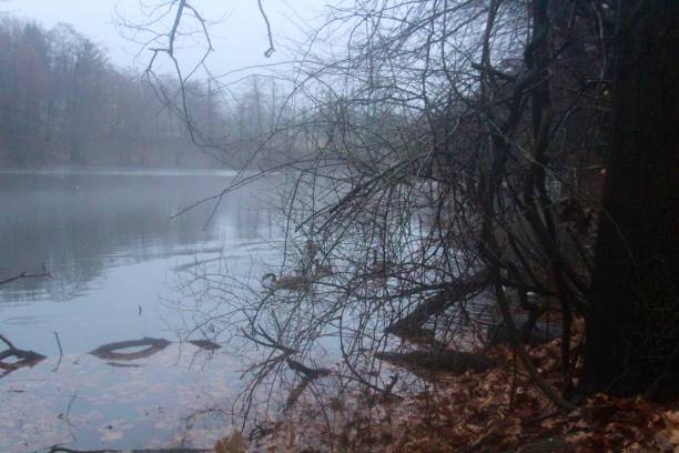 istock Calm Foggy morning 2189450517
