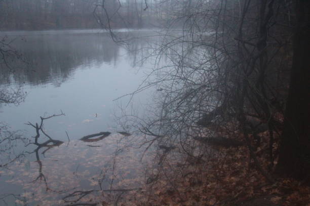 istock Calm Foggy morning 2189450675